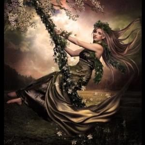 Meet your Posher, Lisova